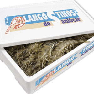 Langostinos medianos 50€/KG